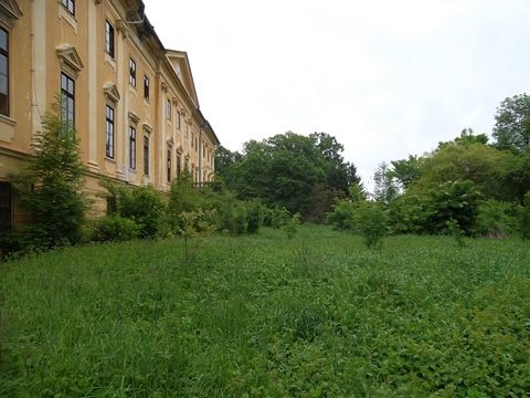 Foto 37